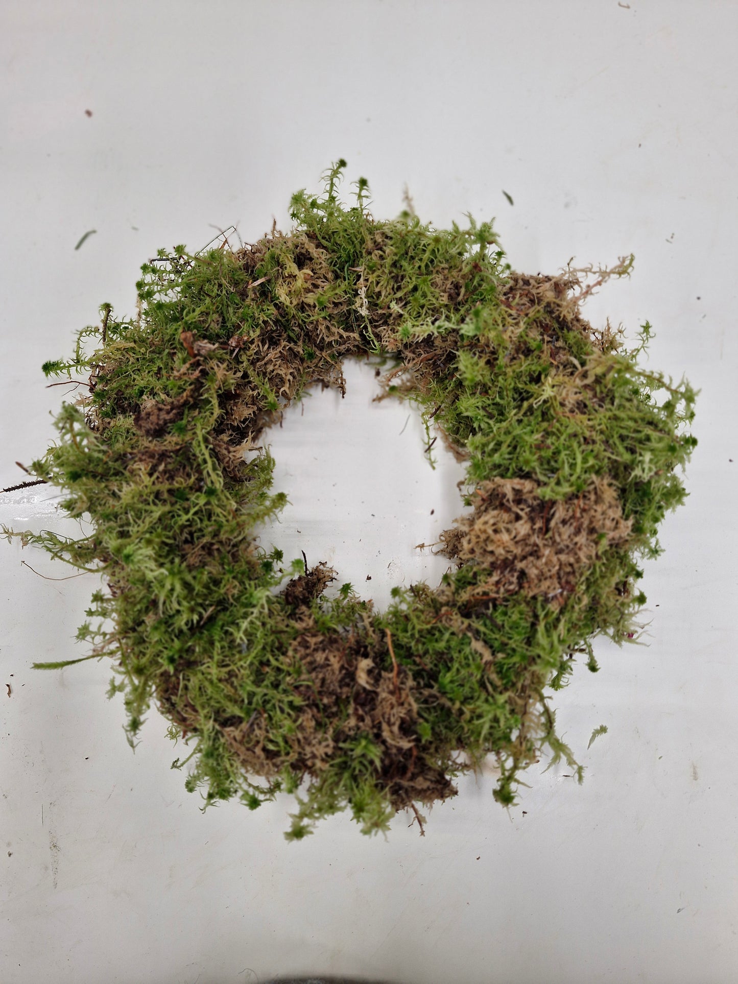 Freshly Mossed Wreath base